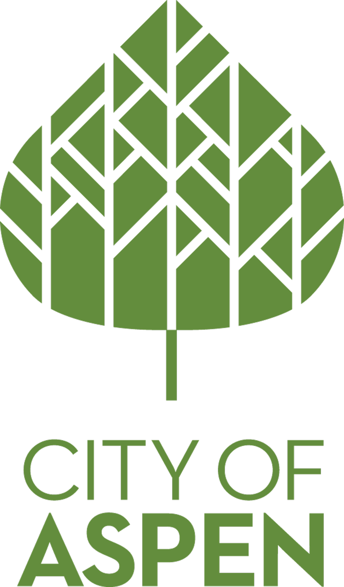 City of Aspen logo